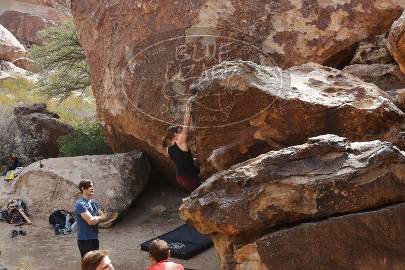 Bouldering in Hueco Tanks on 02/28/2020 with Blue Lizard Climbing and Yoga

Filename: SRM_20200228_1221500.jpg
Aperture: f/10.0
Shutter Speed: 1/250
Body: Canon EOS-1D Mark II
Lens: Canon EF 16-35mm f/2.8 L