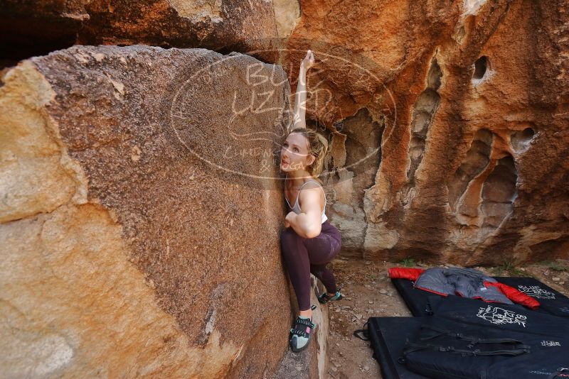 Bouldering in Hueco Tanks on 02/28/2020 with Blue Lizard Climbing and Yoga

Filename: SRM_20200228_1226560.jpg
Aperture: f/5.6
Shutter Speed: 1/250
Body: Canon EOS-1D Mark II
Lens: Canon EF 16-35mm f/2.8 L