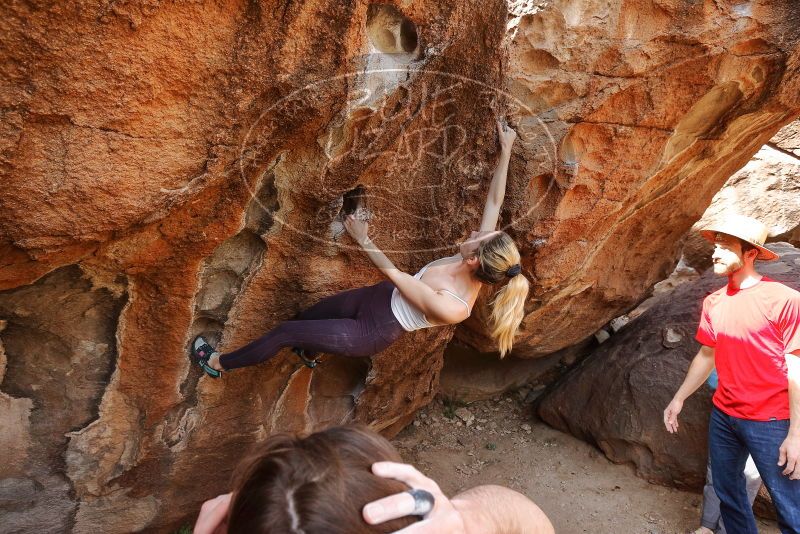 Bouldering in Hueco Tanks on 02/28/2020 with Blue Lizard Climbing and Yoga

Filename: SRM_20200228_1230520.jpg
Aperture: f/5.6
Shutter Speed: 1/250
Body: Canon EOS-1D Mark II
Lens: Canon EF 16-35mm f/2.8 L