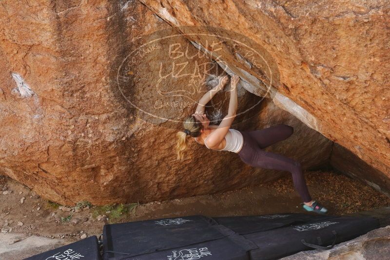 Bouldering in Hueco Tanks on 02/28/2020 with Blue Lizard Climbing and Yoga

Filename: SRM_20200228_1238350.jpg
Aperture: f/8.0
Shutter Speed: 1/250
Body: Canon EOS-1D Mark II
Lens: Canon EF 16-35mm f/2.8 L