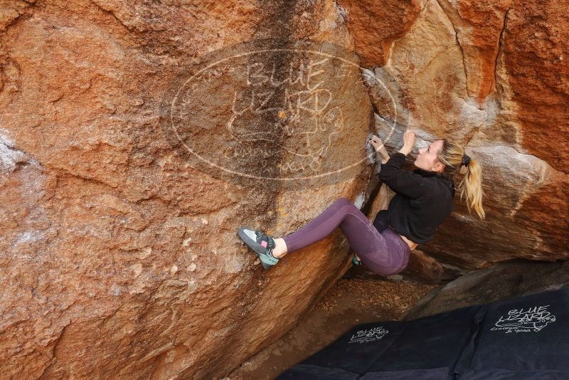 Bouldering in Hueco Tanks on 02/28/2020 with Blue Lizard Climbing and Yoga

Filename: SRM_20200228_1244090.jpg
Aperture: f/7.1
Shutter Speed: 1/250
Body: Canon EOS-1D Mark II
Lens: Canon EF 16-35mm f/2.8 L