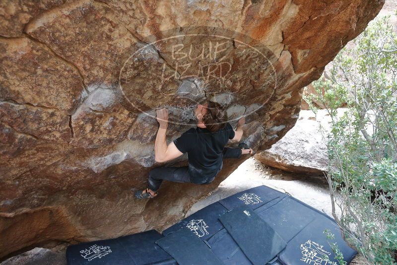 Bouldering in Hueco Tanks on 02/28/2020 with Blue Lizard Climbing and Yoga

Filename: SRM_20200228_1326540.jpg
Aperture: f/4.0
Shutter Speed: 1/250
Body: Canon EOS-1D Mark II
Lens: Canon EF 16-35mm f/2.8 L