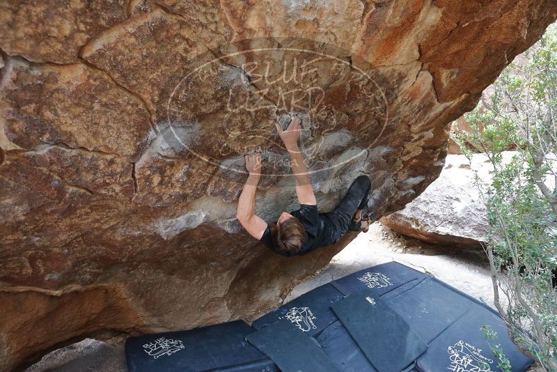 Bouldering in Hueco Tanks on 02/28/2020 with Blue Lizard Climbing and Yoga

Filename: SRM_20200228_1327081.jpg
Aperture: f/4.0
Shutter Speed: 1/250
Body: Canon EOS-1D Mark II
Lens: Canon EF 16-35mm f/2.8 L