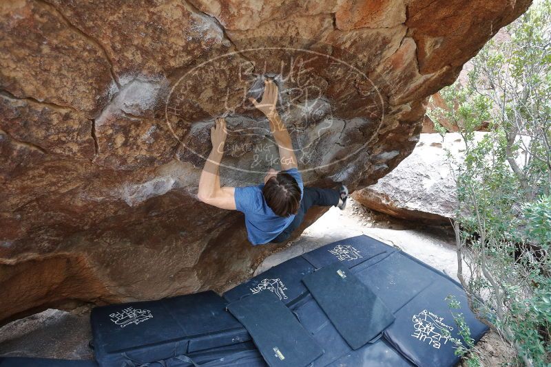 Bouldering in Hueco Tanks on 02/28/2020 with Blue Lizard Climbing and Yoga

Filename: SRM_20200228_1327520.jpg
Aperture: f/4.0
Shutter Speed: 1/250
Body: Canon EOS-1D Mark II
Lens: Canon EF 16-35mm f/2.8 L