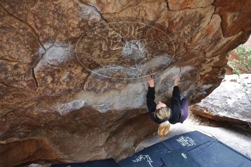 Bouldering in Hueco Tanks on 02/28/2020 with Blue Lizard Climbing and Yoga

Filename: SRM_20200228_1328080.jpg
Aperture: f/4.0
Shutter Speed: 1/250
Body: Canon EOS-1D Mark II
Lens: Canon EF 16-35mm f/2.8 L