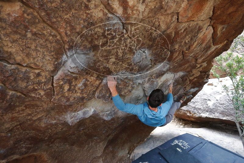 Bouldering in Hueco Tanks on 02/28/2020 with Blue Lizard Climbing and Yoga

Filename: SRM_20200228_1331450.jpg
Aperture: f/4.0
Shutter Speed: 1/250
Body: Canon EOS-1D Mark II
Lens: Canon EF 16-35mm f/2.8 L