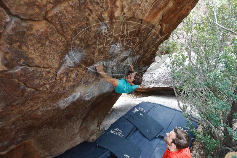 Bouldering in Hueco Tanks on 02/28/2020 with Blue Lizard Climbing and Yoga

Filename: SRM_20200228_1334431.jpg
Aperture: f/4.5
Shutter Speed: 1/250
Body: Canon EOS-1D Mark II
Lens: Canon EF 16-35mm f/2.8 L