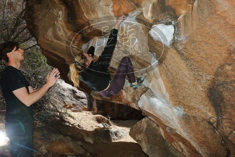 Bouldering in Hueco Tanks on 02/28/2020 with Blue Lizard Climbing and Yoga

Filename: SRM_20200228_1421520.jpg
Aperture: f/8.0
Shutter Speed: 1/250
Body: Canon EOS-1D Mark II
Lens: Canon EF 16-35mm f/2.8 L