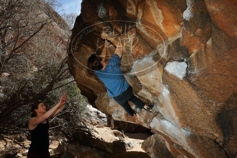 Bouldering in Hueco Tanks on 02/28/2020 with Blue Lizard Climbing and Yoga

Filename: SRM_20200228_1425370.jpg
Aperture: f/8.0
Shutter Speed: 1/250
Body: Canon EOS-1D Mark II
Lens: Canon EF 16-35mm f/2.8 L