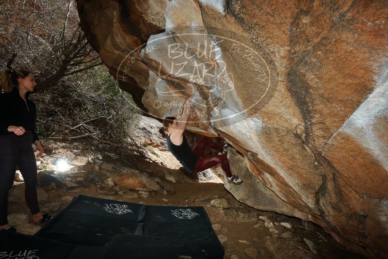 Bouldering in Hueco Tanks on 02/28/2020 with Blue Lizard Climbing and Yoga

Filename: SRM_20200228_1426120.jpg
Aperture: f/8.0
Shutter Speed: 1/250
Body: Canon EOS-1D Mark II
Lens: Canon EF 16-35mm f/2.8 L