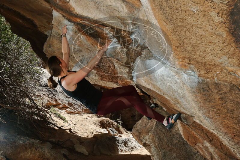 Bouldering in Hueco Tanks on 02/28/2020 with Blue Lizard Climbing and Yoga

Filename: SRM_20200228_1426140.jpg
Aperture: f/8.0
Shutter Speed: 1/250
Body: Canon EOS-1D Mark II
Lens: Canon EF 16-35mm f/2.8 L