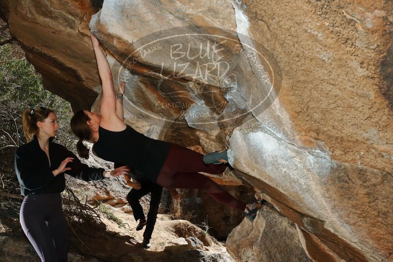 Bouldering in Hueco Tanks on 02/28/2020 with Blue Lizard Climbing and Yoga

Filename: SRM_20200228_1426190.jpg
Aperture: f/8.0
Shutter Speed: 1/250
Body: Canon EOS-1D Mark II
Lens: Canon EF 16-35mm f/2.8 L
