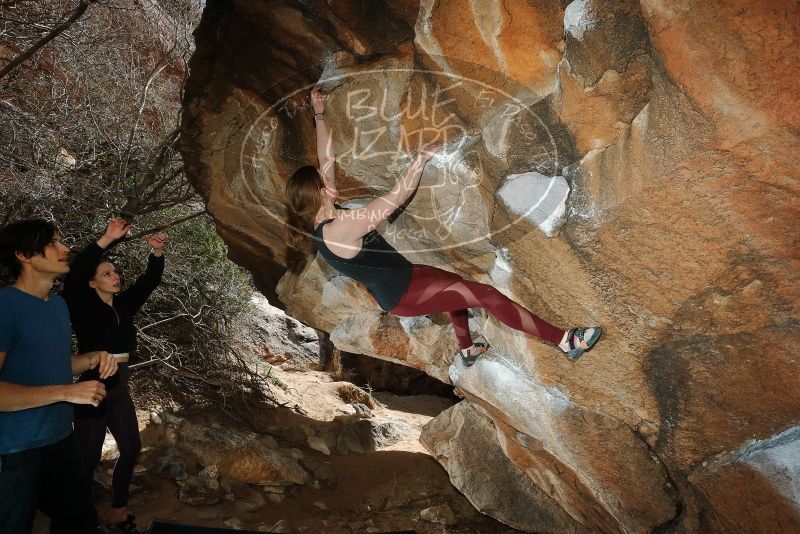 Bouldering in Hueco Tanks on 02/28/2020 with Blue Lizard Climbing and Yoga

Filename: SRM_20200228_1426430.jpg
Aperture: f/8.0
Shutter Speed: 1/250
Body: Canon EOS-1D Mark II
Lens: Canon EF 16-35mm f/2.8 L
