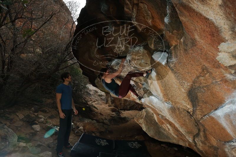 Bouldering in Hueco Tanks on 02/28/2020 with Blue Lizard Climbing and Yoga

Filename: SRM_20200228_1443010.jpg
Aperture: f/7.1
Shutter Speed: 1/250
Body: Canon EOS-1D Mark II
Lens: Canon EF 16-35mm f/2.8 L