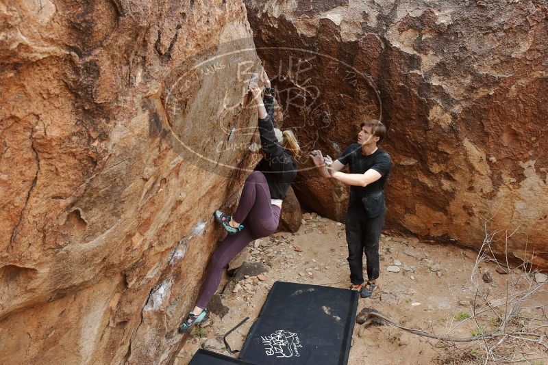 Bouldering in Hueco Tanks on 02/28/2020 with Blue Lizard Climbing and Yoga

Filename: SRM_20200228_1459020.jpg
Aperture: f/6.3
Shutter Speed: 1/250
Body: Canon EOS-1D Mark II
Lens: Canon EF 16-35mm f/2.8 L