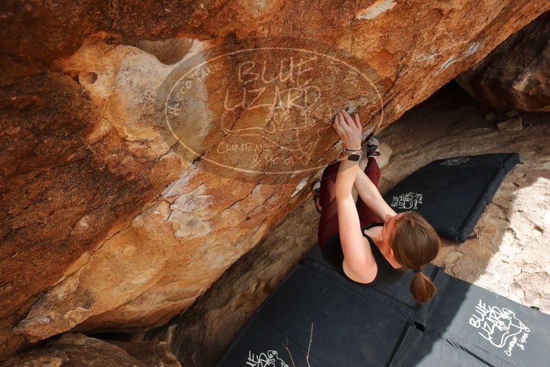 Bouldering in Hueco Tanks on 02/28/2020 with Blue Lizard Climbing and Yoga

Filename: SRM_20200228_1515420.jpg
Aperture: f/8.0
Shutter Speed: 1/250
Body: Canon EOS-1D Mark II
Lens: Canon EF 16-35mm f/2.8 L