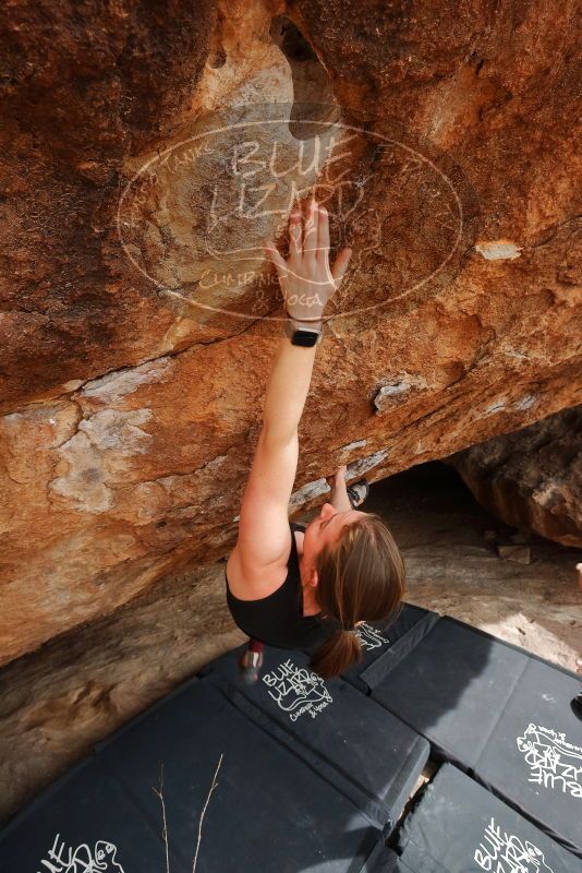 Bouldering in Hueco Tanks on 02/28/2020 with Blue Lizard Climbing and Yoga

Filename: SRM_20200228_1527411.jpg
Aperture: f/8.0
Shutter Speed: 1/250
Body: Canon EOS-1D Mark II
Lens: Canon EF 16-35mm f/2.8 L