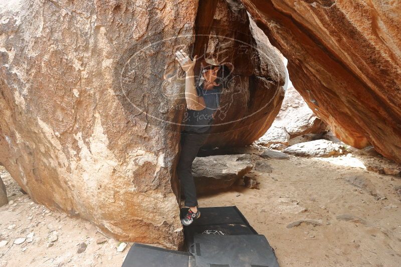 Bouldering in Hueco Tanks on 02/28/2020 with Blue Lizard Climbing and Yoga

Filename: SRM_20200228_1544560.jpg
Aperture: f/5.0
Shutter Speed: 1/250
Body: Canon EOS-1D Mark II
Lens: Canon EF 16-35mm f/2.8 L