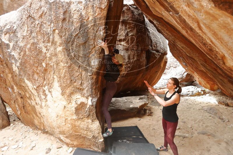 Bouldering in Hueco Tanks on 02/28/2020 with Blue Lizard Climbing and Yoga

Filename: SRM_20200228_1546370.jpg
Aperture: f/4.5
Shutter Speed: 1/250
Body: Canon EOS-1D Mark II
Lens: Canon EF 16-35mm f/2.8 L