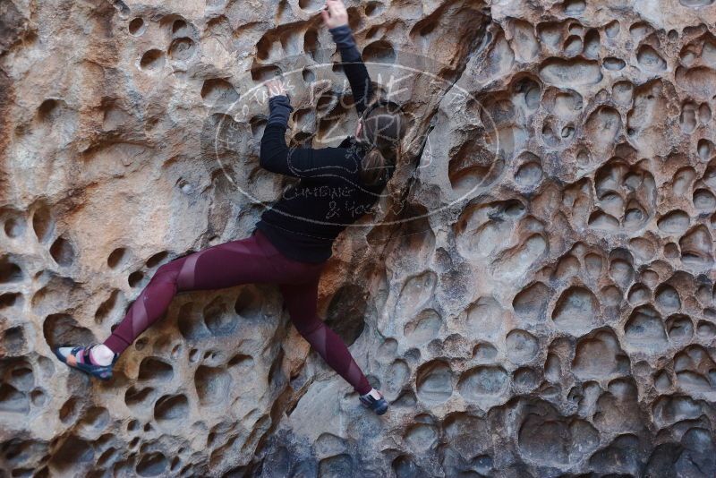 Bouldering in Hueco Tanks on 02/28/2020 with Blue Lizard Climbing and Yoga

Filename: SRM_20200228_1650370.jpg
Aperture: f/3.2
Shutter Speed: 1/100
Body: Canon EOS-1D Mark II
Lens: Canon EF 50mm f/1.8 II