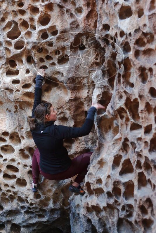 Bouldering in Hueco Tanks on 02/28/2020 with Blue Lizard Climbing and Yoga

Filename: SRM_20200228_1650470.jpg
Aperture: f/3.2
Shutter Speed: 1/100
Body: Canon EOS-1D Mark II
Lens: Canon EF 50mm f/1.8 II