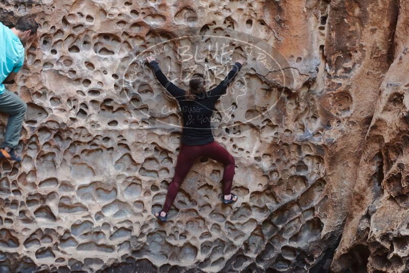 Bouldering in Hueco Tanks on 02/28/2020 with Blue Lizard Climbing and Yoga

Filename: SRM_20200228_1651370.jpg
Aperture: f/3.5
Shutter Speed: 1/100
Body: Canon EOS-1D Mark II
Lens: Canon EF 50mm f/1.8 II