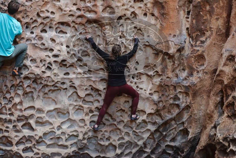 Bouldering in Hueco Tanks on 02/28/2020 with Blue Lizard Climbing and Yoga

Filename: SRM_20200228_1651380.jpg
Aperture: f/4.0
Shutter Speed: 1/100
Body: Canon EOS-1D Mark II
Lens: Canon EF 50mm f/1.8 II