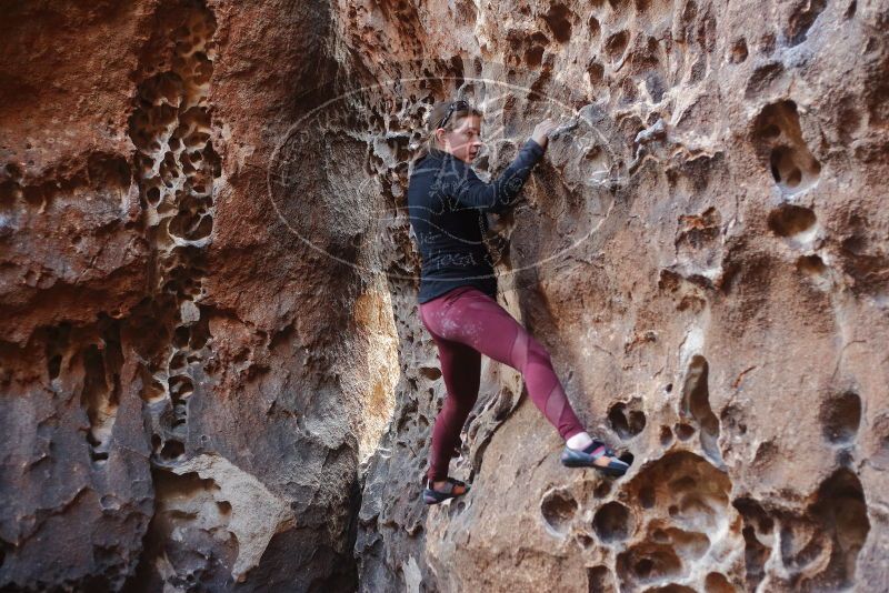 Bouldering in Hueco Tanks on 02/28/2020 with Blue Lizard Climbing and Yoga

Filename: SRM_20200228_1657132.jpg
Aperture: f/2.8
Shutter Speed: 1/100
Body: Canon EOS-1D Mark II
Lens: Canon EF 50mm f/1.8 II