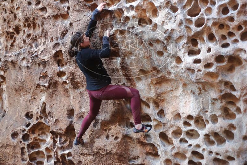 Bouldering in Hueco Tanks on 02/28/2020 with Blue Lizard Climbing and Yoga

Filename: SRM_20200228_1657350.jpg
Aperture: f/2.5
Shutter Speed: 1/100
Body: Canon EOS-1D Mark II
Lens: Canon EF 50mm f/1.8 II