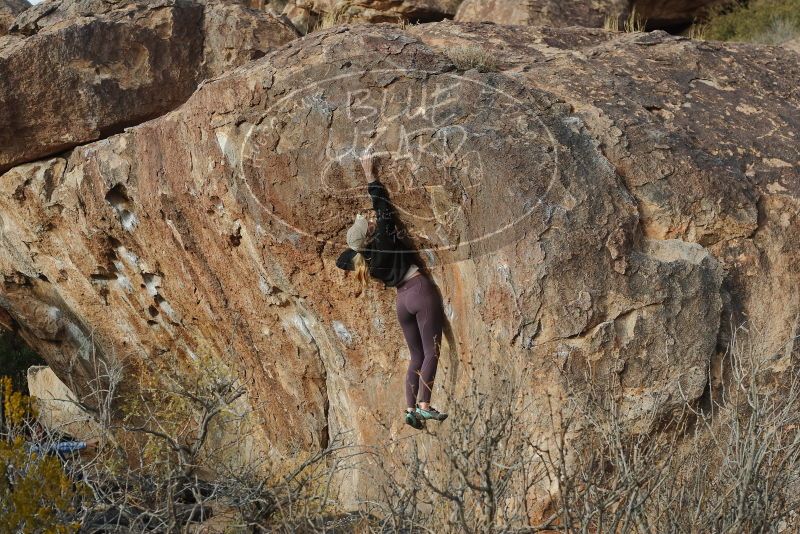 Bouldering in Hueco Tanks on 02/28/2020 with Blue Lizard Climbing and Yoga

Filename: SRM_20200228_1745590.jpg
Aperture: f/5.0
Shutter Speed: 1/400
Body: Canon EOS-1D Mark II
Lens: Canon EF 50mm f/1.8 II