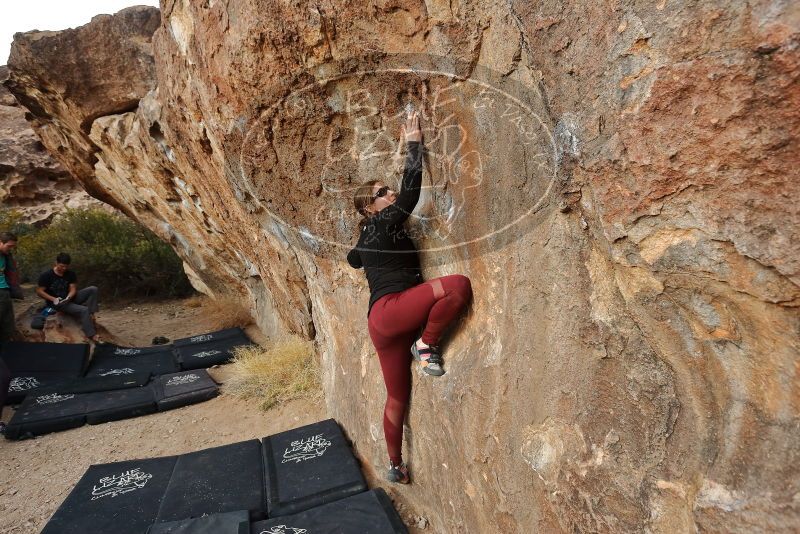 Bouldering in Hueco Tanks on 02/28/2020 with Blue Lizard Climbing and Yoga

Filename: SRM_20200228_1801300.jpg
Aperture: f/5.0
Shutter Speed: 1/320
Body: Canon EOS-1D Mark II
Lens: Canon EF 16-35mm f/2.8 L