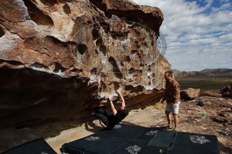 Bouldering in Hueco Tanks on 02/29/2020 with Blue Lizard Climbing and Yoga

Filename: SRM_20200229_1112200.jpg
Aperture: f/9.0
Shutter Speed: 1/320
Body: Canon EOS-1D Mark II
Lens: Canon EF 16-35mm f/2.8 L
