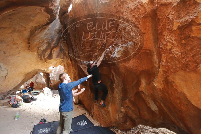 Bouldering in Hueco Tanks on 02/29/2020 with Blue Lizard Climbing and Yoga

Filename: SRM_20200229_1401320.jpg
Aperture: f/2.8
Shutter Speed: 1/250
Body: Canon EOS-1D Mark II
Lens: Canon EF 16-35mm f/2.8 L
