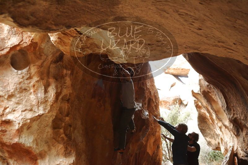 Bouldering in Hueco Tanks on 02/29/2020 with Blue Lizard Climbing and Yoga

Filename: SRM_20200229_1424501.jpg
Aperture: f/4.0
Shutter Speed: 1/250
Body: Canon EOS-1D Mark II
Lens: Canon EF 50mm f/1.8 II