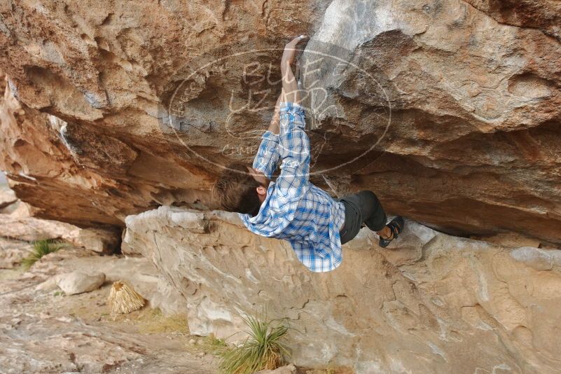 Bouldering in Hueco Tanks on 02/29/2020 with Blue Lizard Climbing and Yoga

Filename: SRM_20200229_1657440.jpg
Aperture: f/4.0
Shutter Speed: 1/400
Body: Canon EOS-1D Mark II
Lens: Canon EF 16-35mm f/2.8 L