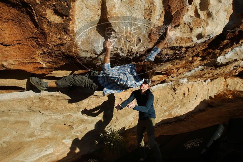 Bouldering in Hueco Tanks on 02/29/2020 with Blue Lizard Climbing and Yoga

Filename: SRM_20200229_1805490.jpg
Aperture: f/7.1
Shutter Speed: 1/400
Body: Canon EOS-1D Mark II
Lens: Canon EF 16-35mm f/2.8 L