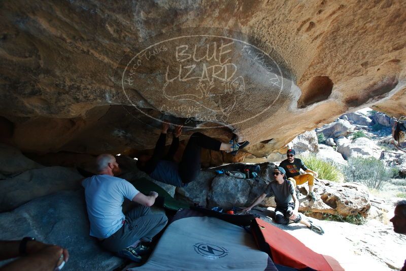 Bouldering in Hueco Tanks on 03/07/2020 with Blue Lizard Climbing and Yoga

Filename: SRM_20200307_1124220.jpg
Aperture: f/4.0
Shutter Speed: 1/640
Body: Canon EOS-1D Mark II
Lens: Canon EF 16-35mm f/2.8 L