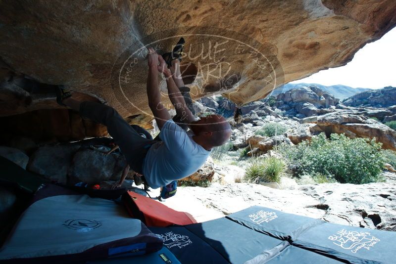 Bouldering in Hueco Tanks on 03/07/2020 with Blue Lizard Climbing and Yoga

Filename: SRM_20200307_1128120.jpg
Aperture: f/5.6
Shutter Speed: 1/500
Body: Canon EOS-1D Mark II
Lens: Canon EF 16-35mm f/2.8 L