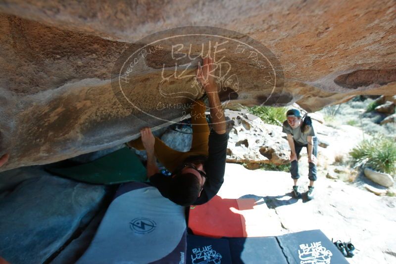 Bouldering in Hueco Tanks on 03/07/2020 with Blue Lizard Climbing and Yoga

Filename: SRM_20200307_1140280.jpg
Aperture: f/5.6
Shutter Speed: 1/800
Body: Canon EOS-1D Mark II
Lens: Canon EF 16-35mm f/2.8 L