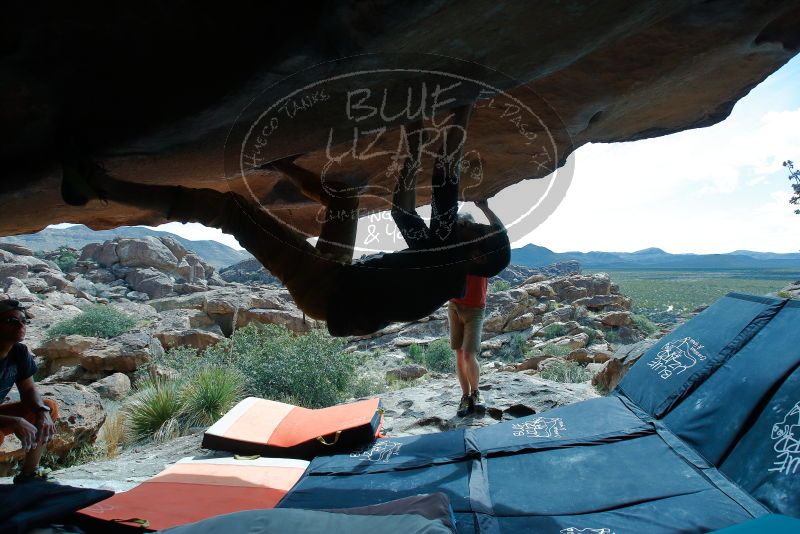 Bouldering in Hueco Tanks on 03/07/2020 with Blue Lizard Climbing and Yoga

Filename: SRM_20200307_1239130.jpg
Aperture: f/5.6
Shutter Speed: 1/500
Body: Canon EOS-1D Mark II
Lens: Canon EF 16-35mm f/2.8 L