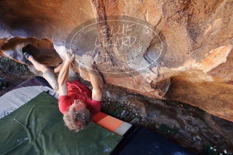 Bouldering in Hueco Tanks on 03/07/2020 with Blue Lizard Climbing and Yoga

Filename: SRM_20200307_1419301.jpg
Aperture: f/5.0
Shutter Speed: 1/320
Body: Canon EOS-1D Mark II
Lens: Canon EF 16-35mm f/2.8 L