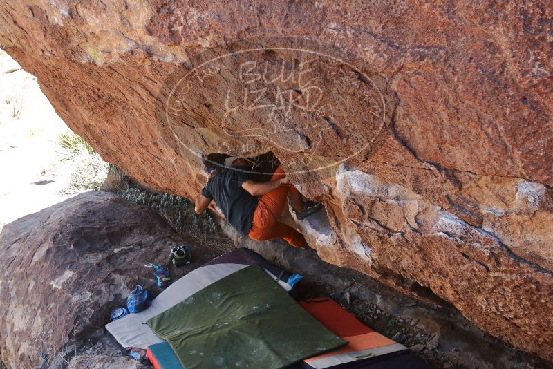 Bouldering in Hueco Tanks on 03/07/2020 with Blue Lizard Climbing and Yoga

Filename: SRM_20200307_1426210.jpg
Aperture: f/5.6
Shutter Speed: 1/500
Body: Canon EOS-1D Mark II
Lens: Canon EF 16-35mm f/2.8 L