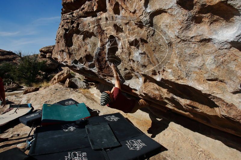 Bouldering in Hueco Tanks on 03/06/2020 with Blue Lizard Climbing and Yoga

Filename: SRM_20200306_1108260.jpg
Aperture: f/7.1
Shutter Speed: 1/500
Body: Canon EOS-1D Mark II
Lens: Canon EF 16-35mm f/2.8 L