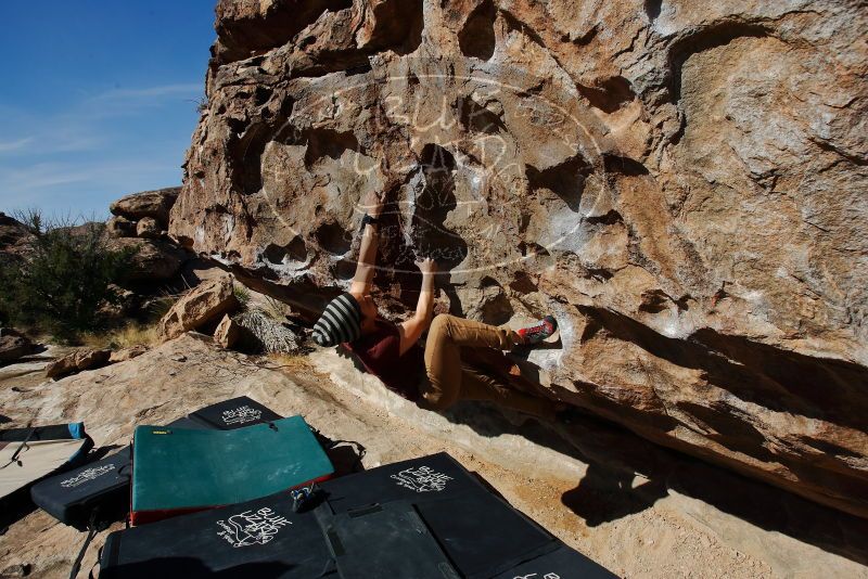 Bouldering in Hueco Tanks on 03/06/2020 with Blue Lizard Climbing and Yoga

Filename: SRM_20200306_1108290.jpg
Aperture: f/7.1
Shutter Speed: 1/500
Body: Canon EOS-1D Mark II
Lens: Canon EF 16-35mm f/2.8 L