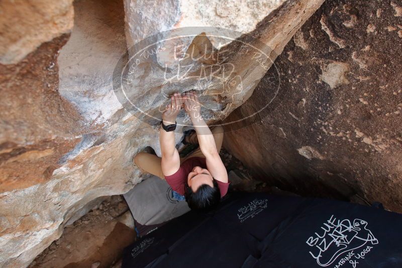 Bouldering in Hueco Tanks on 03/06/2020 with Blue Lizard Climbing and Yoga

Filename: SRM_20200306_1355470.jpg
Aperture: f/5.6
Shutter Speed: 1/250
Body: Canon EOS-1D Mark II
Lens: Canon EF 16-35mm f/2.8 L