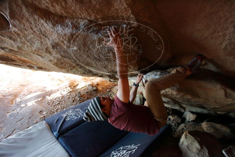 Bouldering in Hueco Tanks on 03/06/2020 with Blue Lizard Climbing and Yoga

Filename: SRM_20200306_1808041.jpg
Aperture: f/4.0
Shutter Speed: 1/250
Body: Canon EOS-1D Mark II
Lens: Canon EF 16-35mm f/2.8 L