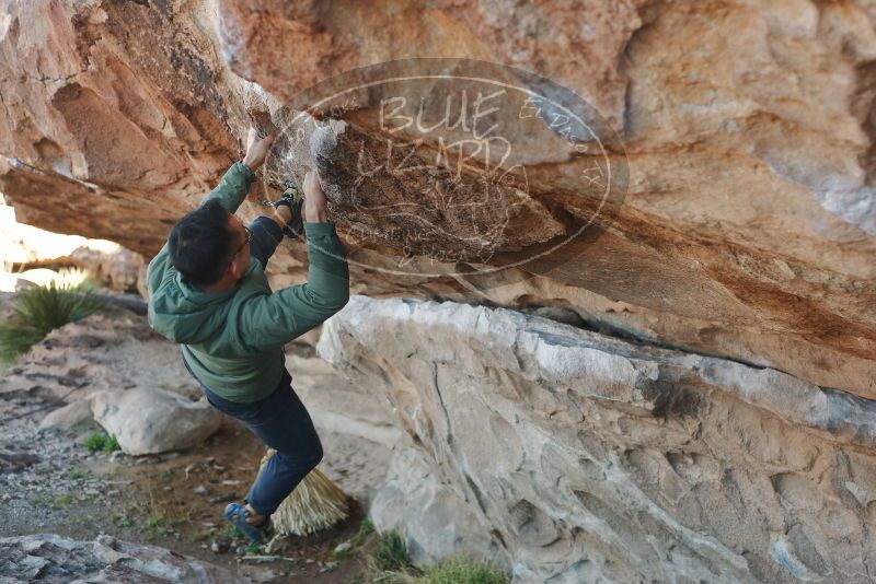 Bouldering in Hueco Tanks on 03/16/2020 with Blue Lizard Climbing and Yoga

Filename: SRM_20200316_0936020.jpg
Aperture: f/3.5
Shutter Speed: 1/320
Body: Canon EOS-1D Mark II
Lens: Canon EF 50mm f/1.8 II