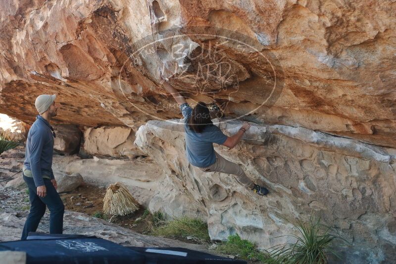 Bouldering in Hueco Tanks on 03/16/2020 with Blue Lizard Climbing and Yoga

Filename: SRM_20200316_1030260.jpg
Aperture: f/3.5
Shutter Speed: 1/500
Body: Canon EOS-1D Mark II
Lens: Canon EF 50mm f/1.8 II