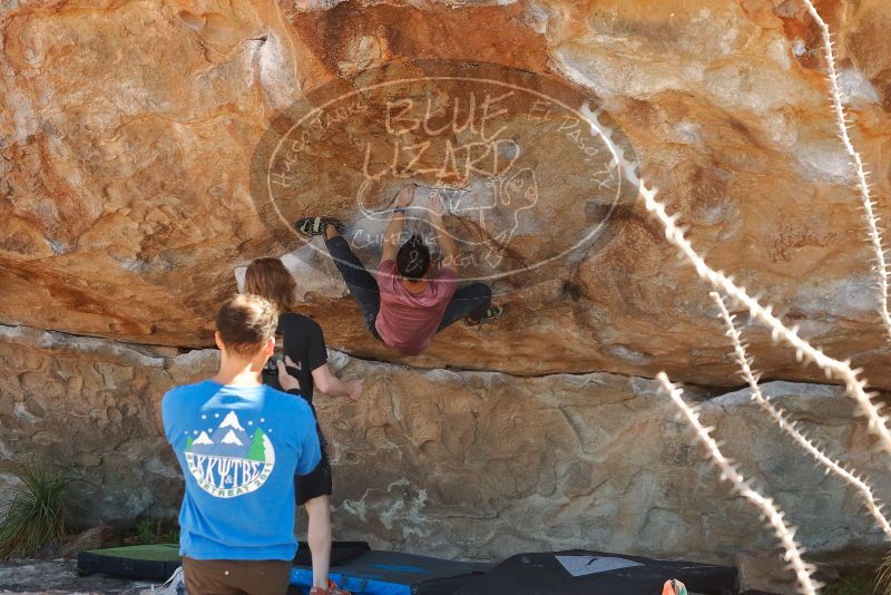 Bouldering in Hueco Tanks on 03/16/2020 with Blue Lizard Climbing and Yoga
Filename: SRM_20200316_1127400.jpg
Aperture: f/4.5
Shutter Speed: 1/500
Body: Canon EOS-1D Mark II
Lens: Canon EF 50mm f/1.8 II
