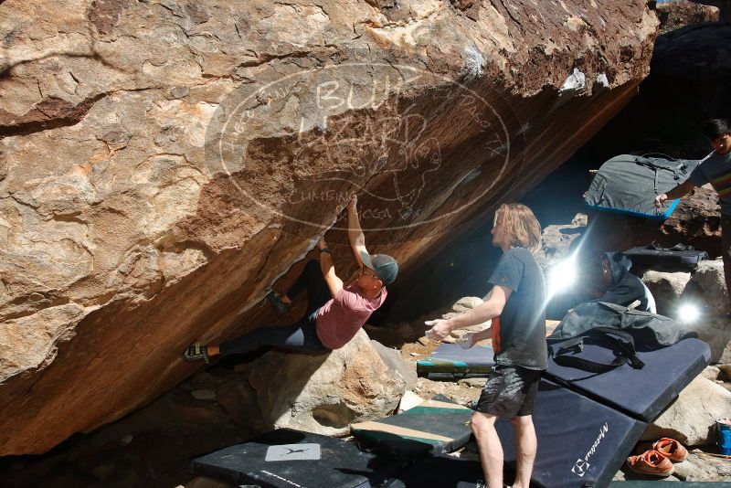 Bouldering in Hueco Tanks on 03/16/2020 with Blue Lizard Climbing and Yoga

Filename: SRM_20200316_1209530.jpg
Aperture: f/8.0
Shutter Speed: 1/250
Body: Canon EOS-1D Mark II
Lens: Canon EF 16-35mm f/2.8 L